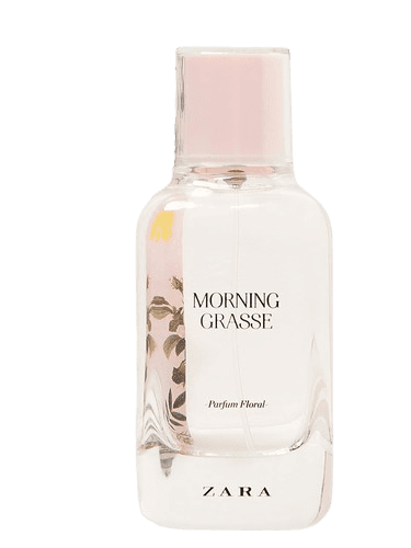 Zara Morning Grasse