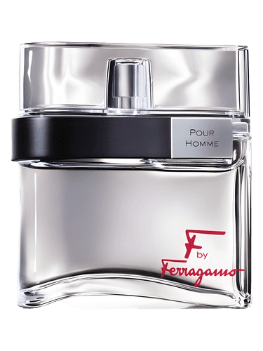 Salvatore Ferragamo F by Ferragamo Pour Homme