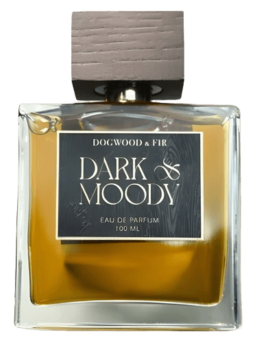 Dogwood & Fir Dark & Moody