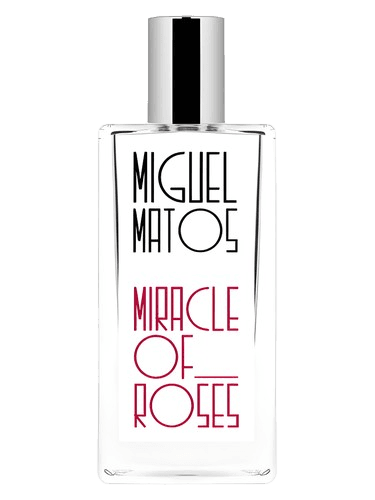 Miguel Matos Miracle of Roses
