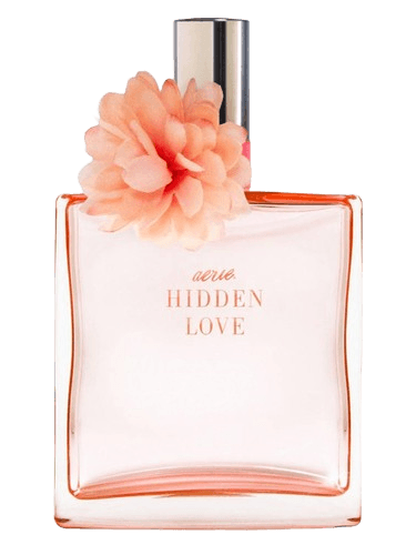 American Eagle Hidden Love