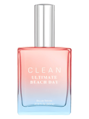 Clean Ultimate Beach Day