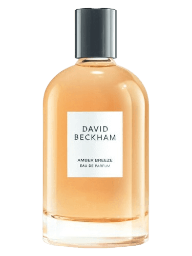 David Beckham Amber Breeze