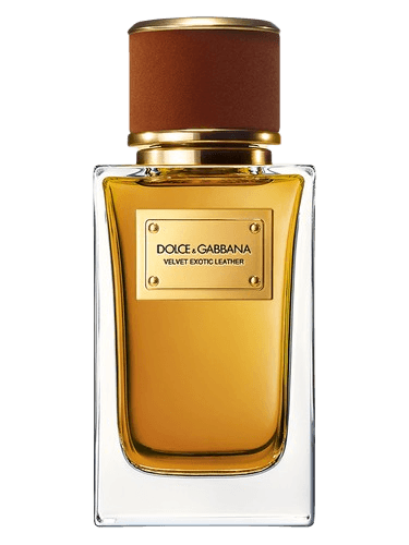 Dolce&Gabbana Velvet Exotic Leather