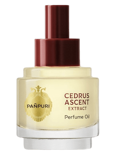 Pañpuri Cedrus Ascent