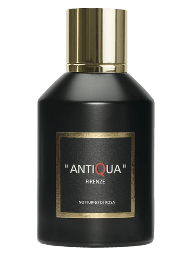 Antiqua Firenze Notturno Di Rosa