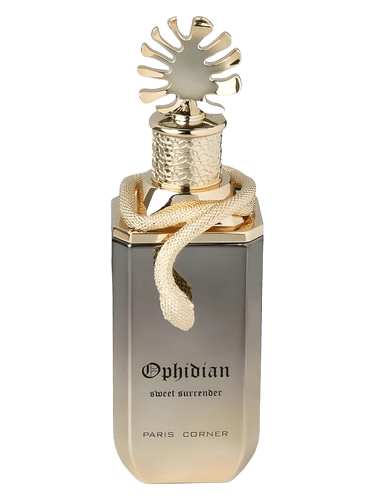 PARIS CORNER Ophidian Sweet Surrender
