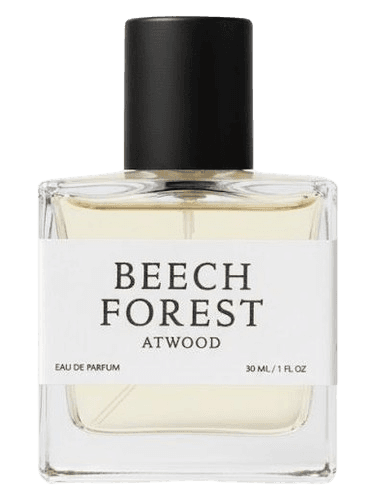 Atwood Beech Forest