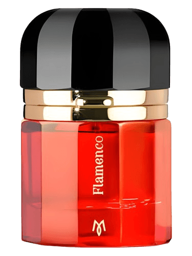 Ramon Monegal Flamenco