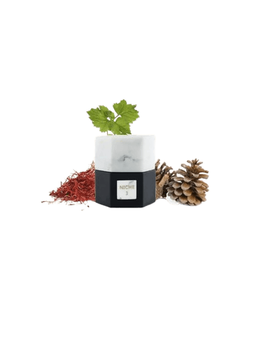 Reef Perfumes Niche 3