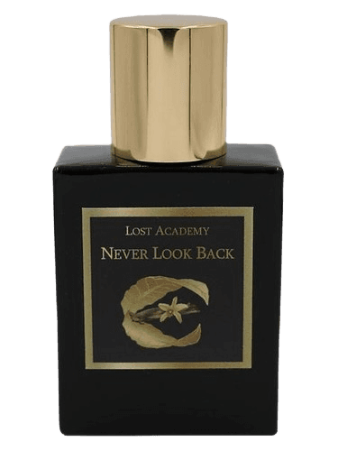 Lost Academy Never Look Back
