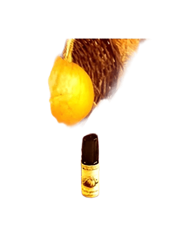 Solstice Scents Pumpkin Spice Latte