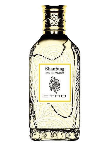 Etro Shantung