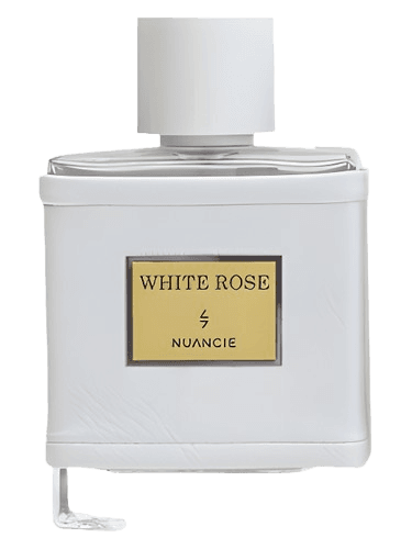 Nuancielo White Rose