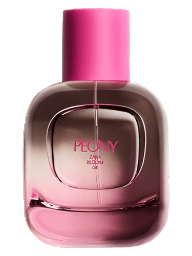 Zara Peony