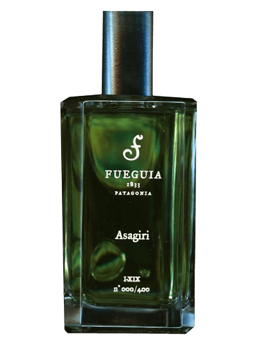 Fueguia 1833 Asagiri