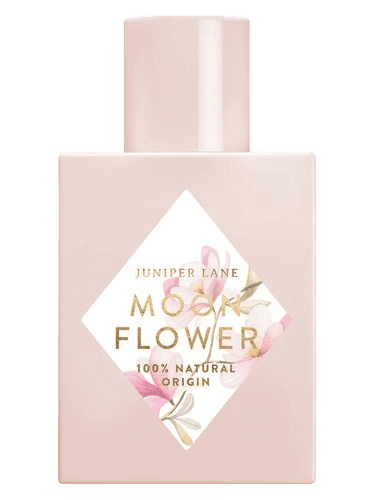 Nature Blossom Moon Flower