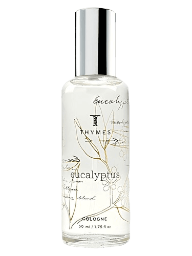 Thymes Eucalyptus