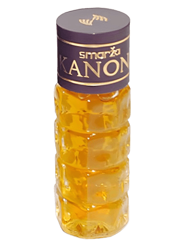 Dzintars Kanons