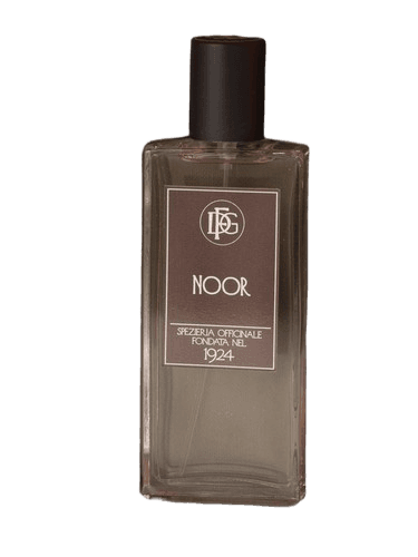 DFG1924 Noor