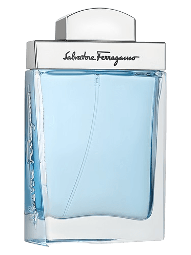 Salvatore Ferragamo Salvatore Ferragamo Subtil Pour Homme Fresh