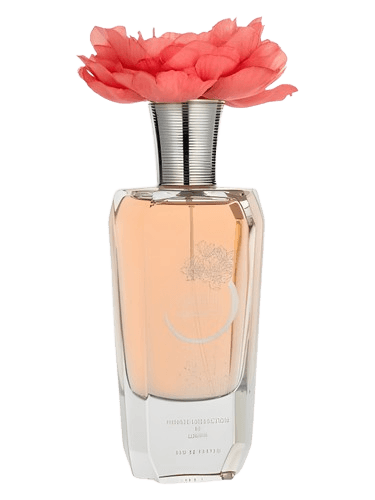 Lomani Silver Bloom