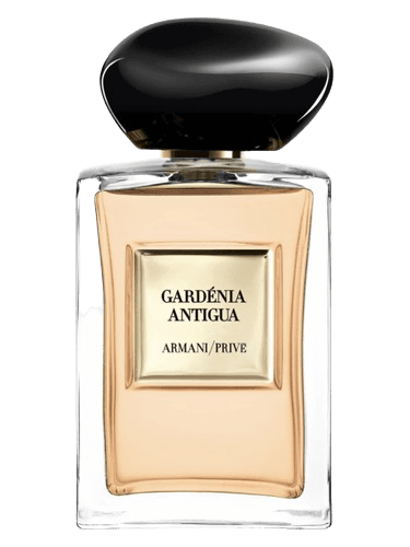 Giorgio Armani Gardénia Antigua