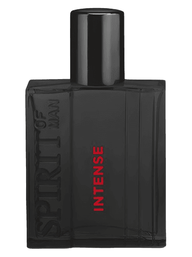 Spirit Spirit of Man Intense
