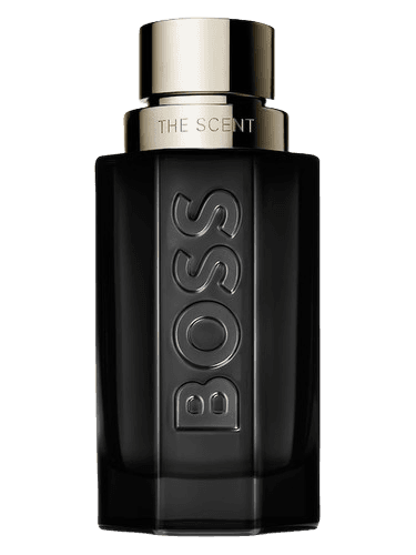 Hugo Boss Boss The Scent For Him Magnetic