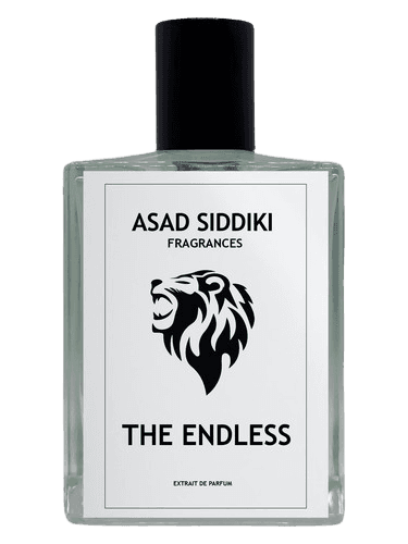 Asad Siddiki The Endless