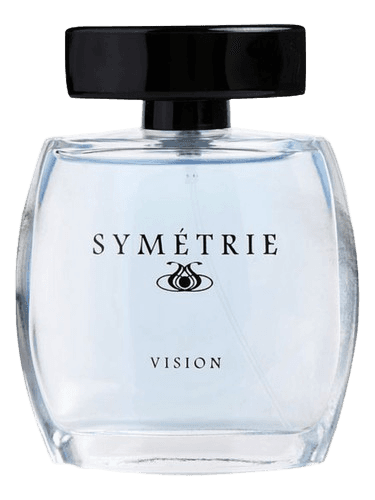 Symétrie Vision