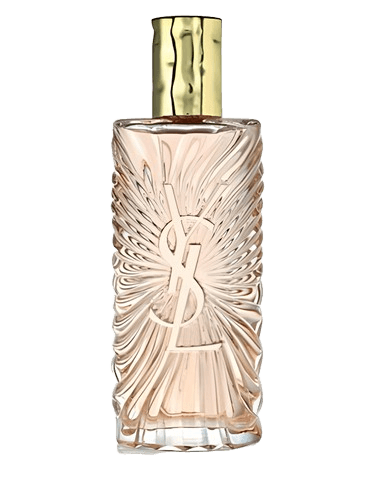 Yves Saint Laurent Saharienne