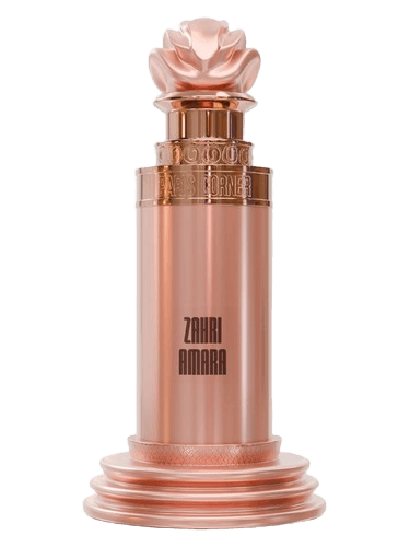 PARIS CORNER Zahri Amara