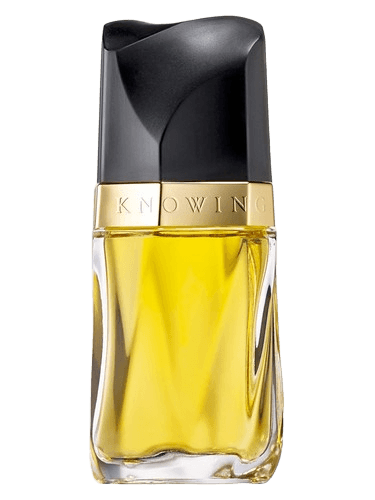 Estée Lauder Knowing