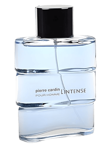 Pierre Cardin Pierre Cardin pour Homme l'Intense