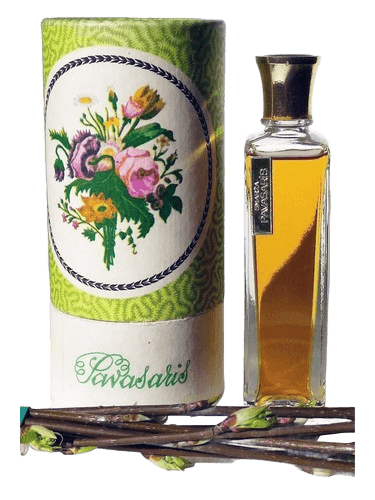 Dzintars Pavasaris (Весна)