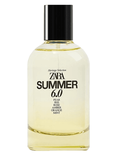Zara Summer 6.0