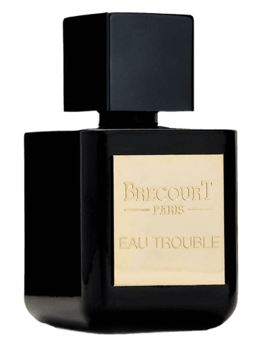 Brecourt Eau Trouble