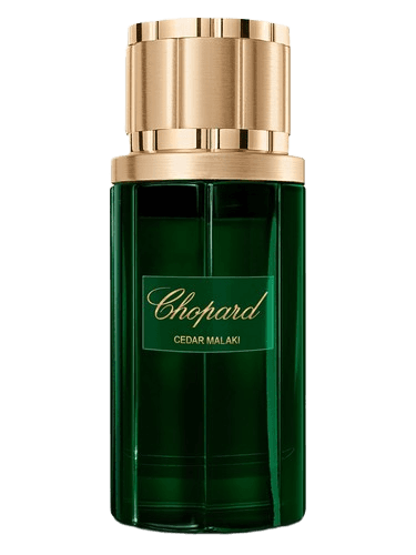 Chopard Cedar Malaki