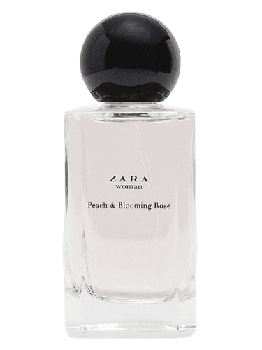 Zara Zara Woman Peach & Blooming Rose