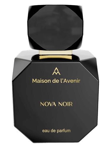 Maison de l'Avenir Nova Noir