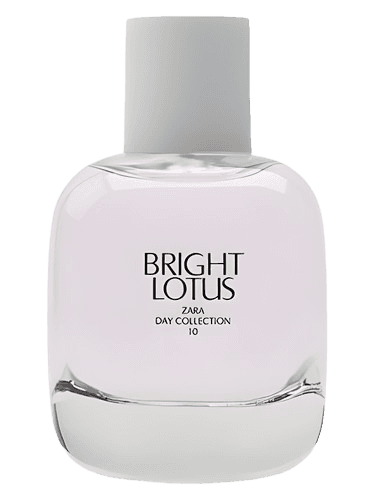 Zara Bright Lotus
