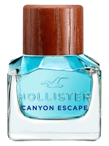 Hollister Hollister Canyon Escape Man
