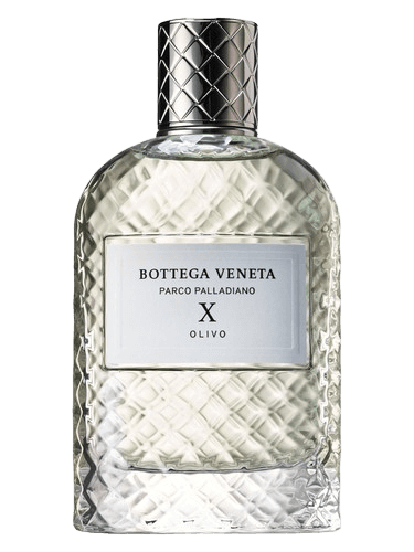 Bottega Veneta Parco Palladiano X: Olivo