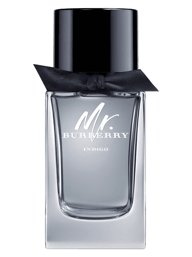 Burberry Mr. Burberry Indigo