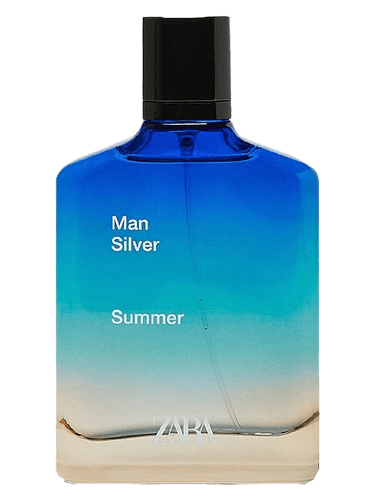 Zara Zara Man Silver Summer 2020