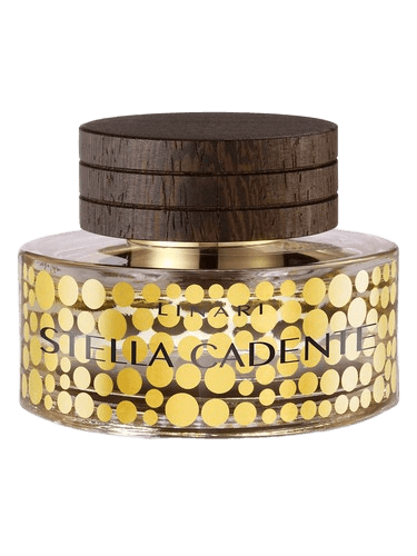 Linari Stella Cadente