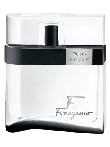 Salvatore Ferragamo F by Ferragamo Black