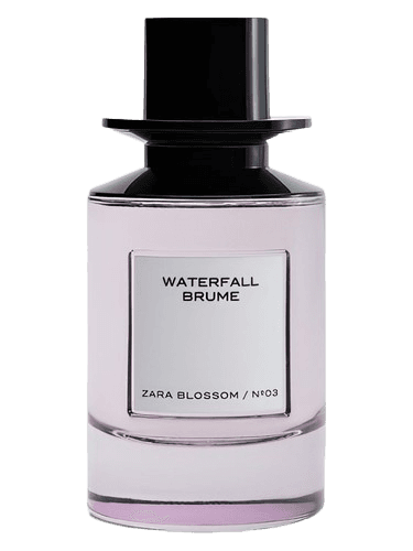 Zara N°03 Waterfall Brume