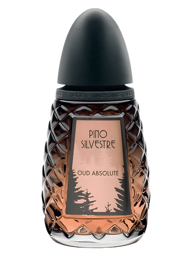 Pino Silvestre Oud Absolute